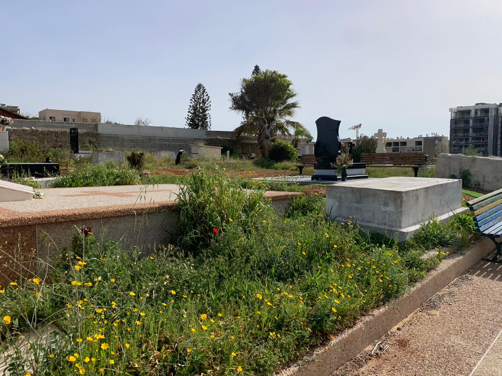 WhatsApp Image 2023-03-13 at 9.33.38 AM (2).jpeg